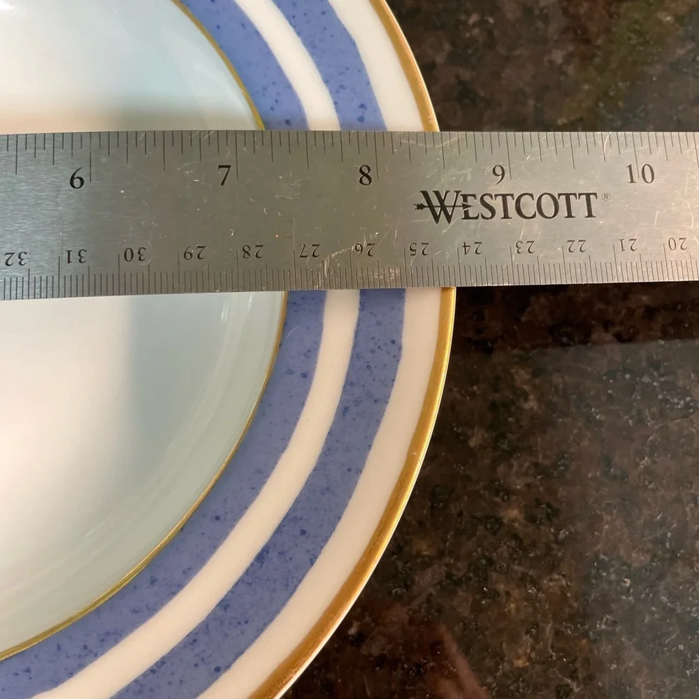 Crate and Barrel VERANDA BLUE STRIPED Gold Rim Dinner Plate / SoupBowl HTF
